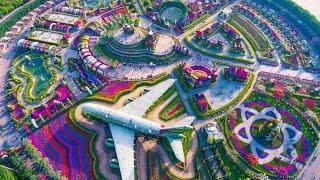 Miracle Garden Dubai | Fatima Journey