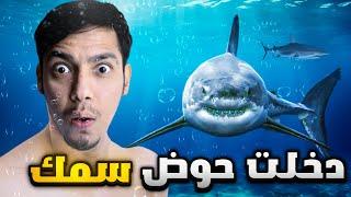 دخلت ثاني اكبر حوض أسماك في العالم - دبي 