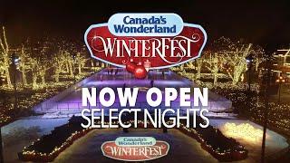 Step Into The Magic at WinterFest!