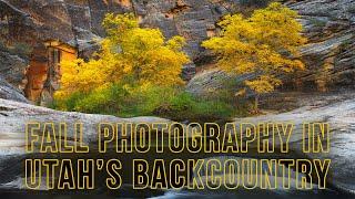 Photographing EPIC Fall Colors in a Remote Part of Utah!