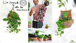 4 Best Wall Hanging & Table Top Planters to Infuse Your Space With Greenery//GREEN PLANTS