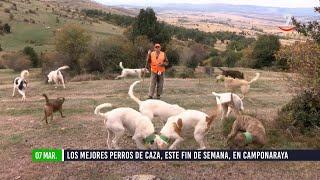 Flash El campo al día (07/03/2025): Los mejores perros de casa, del 8 al 9 de marzo, en Camponaraya