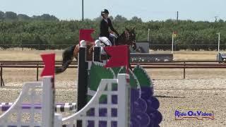 093S Lauren Field on Abright Star Open Modified Show Jumping Twin Rivers Ranch June 2024