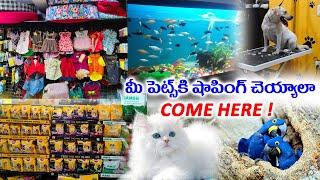 Bow Boww to Meow Meow Pet's Shop - Cheap & Best Pet's Shop with Affordable Prices Kukatpally