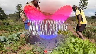 YoungBlood - " Sa I Au Na Farmer " Remiix [ Wanted Soundz ] 2024