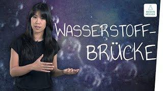 Was sind Wasserstoffbrückenbindungen? I musstewissen Chemie