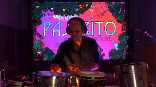 PAJARITO MUNDO - SELVA (Studio live recording)