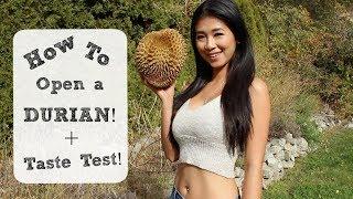 How to open a Durian!