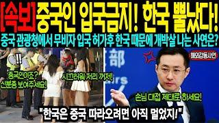 [해외감동사연] 중국 관광청 무비자 입국 시행 후 한국인들때문에 개박살 나고 오열한 사연은?