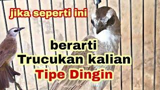 Trucukan tipe dingin ternyata ini kelebihan dan kekurangan nya