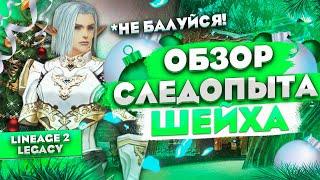 Обзор Следопыта (Plains Walker) ШЕЙХА. Рекордный урон с бека в Lineage 2 Legacy