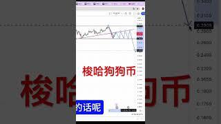 DOGECOIN 狗狗币第二波爆发进入倒计时！赶紧埋伏起来 坐等爆发！USDT发行 1,000,000,000美元 准备上车狗狗币？2017年暴涨97倍 2021年暴涨665倍 改变命运全靠DOGE