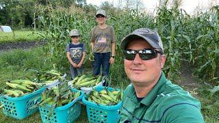 It’s harvest time at our farm!