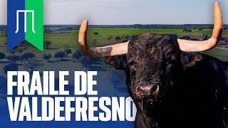 GANADERIA FRAILE DE VALDEFRESNO | TOROS 2023