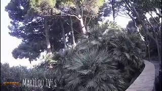 walking down the street island of Capri Italy