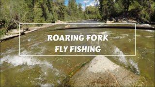 Love Some Nice Pocket Water - Roaring Fork Fly Fishing on the Way to Aspen - August2022