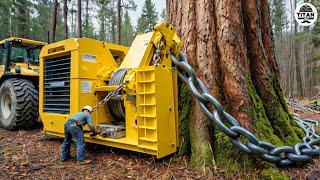 Amazing Fastest Big Tree Cutting Machines | Dangerous Tree Harvester Stump Destroy Machines #32