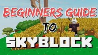 Beginner's Guide / How to Play SkyBlock! | ROBLOX