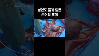 카메라 놓고 거들어 달라니까! #shorts