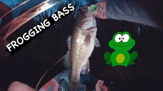 jackall kaera frog fishing for BASS!