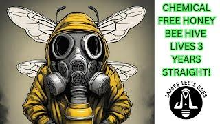 Treatment Free Beekeeping: A Three Year Old Colony's Survival Story | Special Guest @KobeApiaries