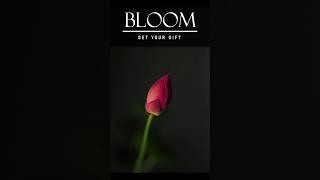 Bloom #music #motivation #power  #quotes #shortsfeed #shorts #shortsviral #bloom #gift #deeds #you