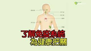 了解免疫系統 為健康把關