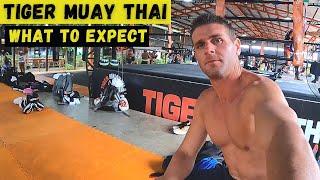 My DAY IN THE LIFE at Tiger Muay Thai (Day 1) | SE03E43