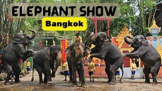 Elephant Show Highlights at Safari World Bangkok! #elephant