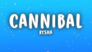 Kesha - Cannibal (Lyrics)