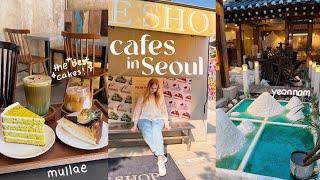 cafe hopping in seoul  cafes in yeonnam-dong & mullae, shopping in hongdae & secret forest library