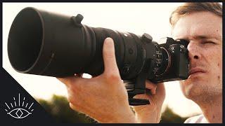 Sigma 150-600mm f/5-6.3 DG DN OS Sport Review - WHAT A LENS!