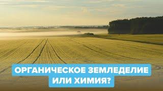 Органическое земледелие или химия?