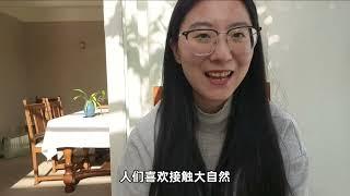 在新西兰 生活可以有多松弛