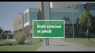 Maîtrise en pratique du droit criminel et pénal