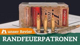 Fuchsjagd – Randfeuerkaliber im Praxis-Check | Einsatzzweck & Reichweite | unser Revier | .17 HMR