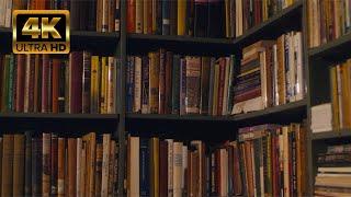 Books Shelves Library Reading by Continuous  4K | no copyright stock video footage