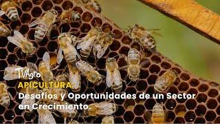 Apicultura: Desafíos y Oportunidades de un Sector en Crecimiento - TvAgro por Juan Gonzalo Angel