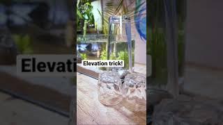 Elevation Trick 
