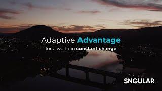 Adaptive Advantage - Sngular