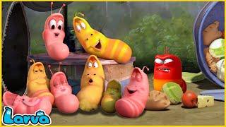 LARVA | JEALOUSLY | CARTOON MOVIE FOR LIFE |THE BEST OF CARTOON | HILARIOUS CARTOON COMPILATION