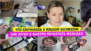 Что СЛУЧИЛОСЬ с НАШИМ БИЗНЕСОМ / Лайфхак как легко и быстро промыть желудки / Vika Siberia LifeVlog