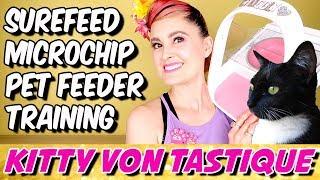 The SureFeed Microchip Pet Feeder from SureFlap - How To Use, Training, Tips & Tricks!