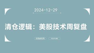 清仓逻辑：美股技术周复盘20241229