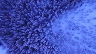 Белая песня(white song) автор и исполнитель Олег Сапегин