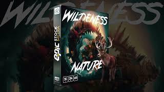 Wilderness Nature Loops -  Loop-able Ambience Sound Library