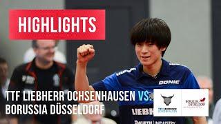 Highlights Shunsuke Togami vs. Borgar Haug