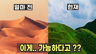 "충격"적인 사막의 변신.. 최근 "75 배" 커졌다는 사우디의 초록색 농경지 ㅎㄷㄷ..