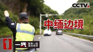 《一线》中缅边境 除了贩毒 偷渡 电诈外 还有它们 20231130 | CCTV社会与法