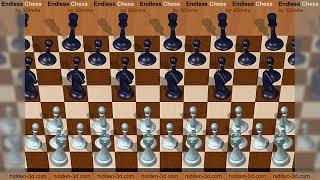 Endless Chess - Hidden 3D Stereogram Animation